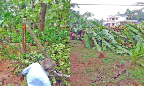 പൊയിലൂരിൽ ചുഴലിക്കാറ്റ്; വ്യാപക നാശം