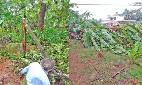 പൊയിലൂരിൽ ചുഴലിക്കാറ്റ്; വ്യാപക നാശം പൊയിലൂരിൽ ചുഴലിക്കാറ്റ്; വ്യാപക നാശം