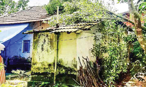 അന്നമനടയിൽ ചുഴലിക്കാറ്റ്; ആറ് വീടുകൾ ഭാഗികമായി തകർന്നു