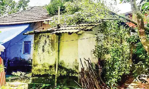 അന്നമനടയിൽ ചുഴലിക്കാറ്റ്; ആറ് വീടുകൾ ഭാഗികമായി തകർന്നു അന്നമനടയിൽ ചുഴലിക്കാറ്റ്; ആറ് വീടുകൾ ഭാഗികമായി തകർന്നു