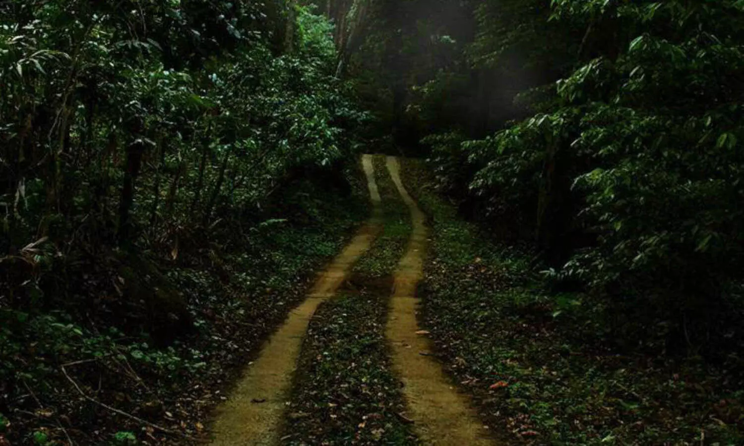 വയനാട് ജില്ലയിലെ മുഴുവൻ ടൂറിസം കേന്ദ്രങ്ങളും തുറക്കുന്നതിന് അനുമതി