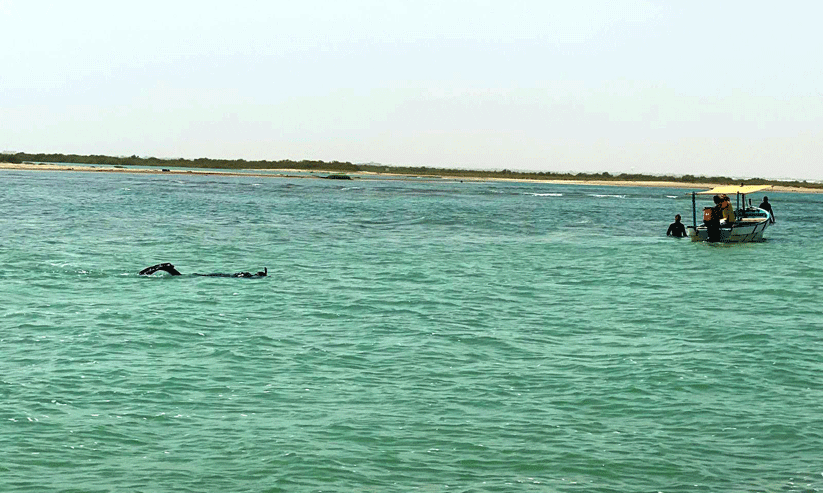 സന്ദർശകർ ജാഗ്രതൈ; അപകടമുനമ്പായി കൊല്ലം ബീച്ച് സന്ദർശകർ ജാഗ്രതൈ; അപകടമുനമ്പായി കൊല്ലം ബീച്ച്