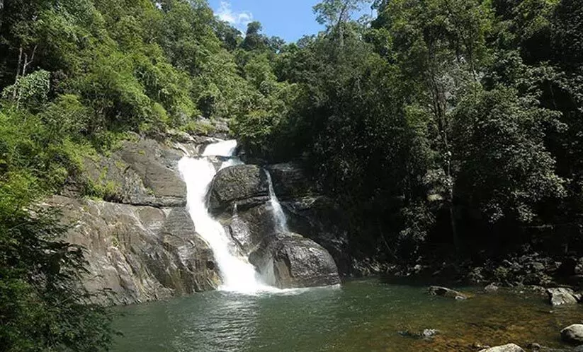 പൊന്മുടി ഒഴികെയുള്ള ഇക്കോടൂറിസം കേന്ദ്രങ്ങൾ തുറക്കും