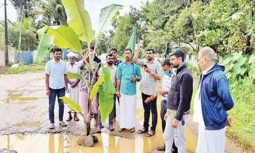 ത​ക​ർ​ന്ന റോ​ഡു​ക​ളി​ൽ വാ​ഴ​ന​ട്ട് യൂ​ത്ത് ലീ​ഗ് പ്ര​തി​ഷേ​ധം