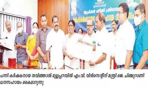 പന്നികളെ ഏറ്റെടുക്കൽ പദ്ധതി പരിഗണനയിൽ -മന്ത്രി ചിഞ്ചുറാണി