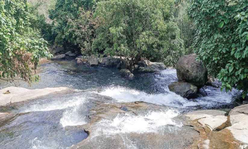 അപകടം പതിയിരിക്കുന്ന ഒലക്കയം അപകടം പതിയിരിക്കുന്ന ഒലക്കയം