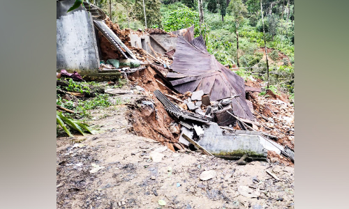 വിള്ളൽ വീണ ഭൂമിയിലെ വീടും ഏലം സ്റ്റോറും നിലംപൊത്തി