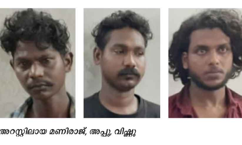 പൊലീസിനെ ആക്രമിച്ച മദ്യപസംഘത്തിലെ മൂന്നുപേർ അറസ്റ്റിൽ