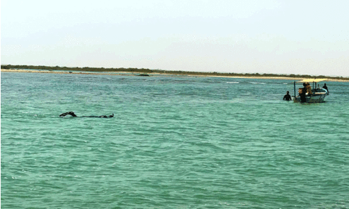 സന്ദർശകർ ജാഗ്രതൈ; അപകടമുനമ്പായി കൊല്ലം ബീച്ച്