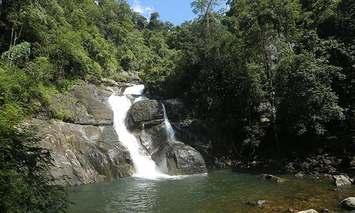 പൊന്മുടി ഒഴികെയുള്ള ഇക്കോടൂറിസം കേന്ദ്രങ്ങൾ തുറക്കും