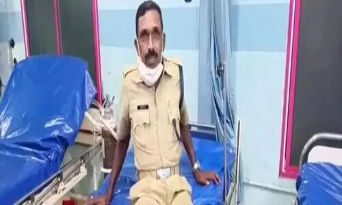 നഗരത്തിൽ തെരുവുനായകളുടെ   വിളയാട്ടം: ഒമ്പത് പേർക്ക് കടിയേറ്റു