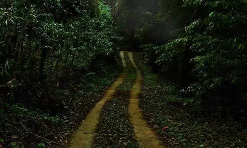 വയനാട് ജില്ലയിലെ മുഴുവൻ ടൂറിസം കേന്ദ്രങ്ങളും തുറക്കുന്നതിന് അനുമതി വയനാട് ജില്ലയിലെ മുഴുവൻ ടൂറിസം കേന്ദ്രങ്ങളും തുറക്കുന്നതിന് അനുമതി