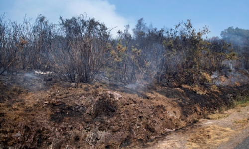 കടുത്ത ചൂടിൽ ഉരുകി യൂറോപ്പ്, കാട്ടുതീയോട് പൊരുതി ഫ്രാൻസ്