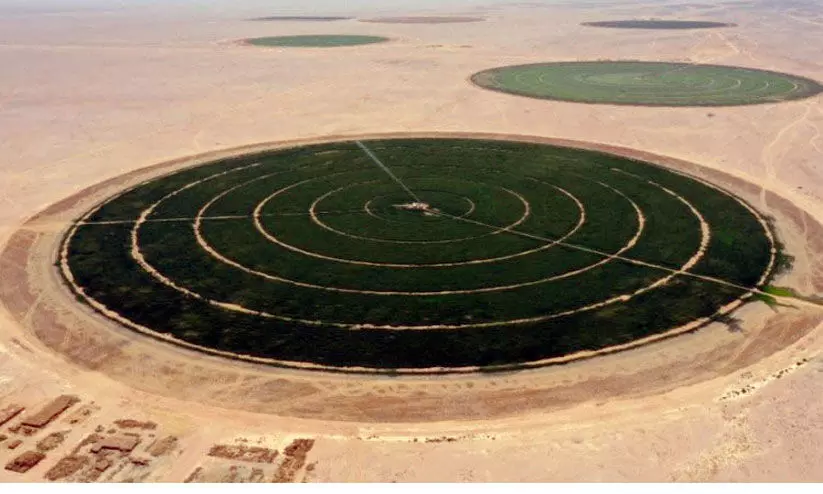 80,000 ചതുരശ്ര കിലോമീറ്ററിൽ നജ്​ദ്​ അഗ്രികൾചർ ഏരിയ; ഭക്ഷ്യസുരക്ഷ ലക്ഷ്യം