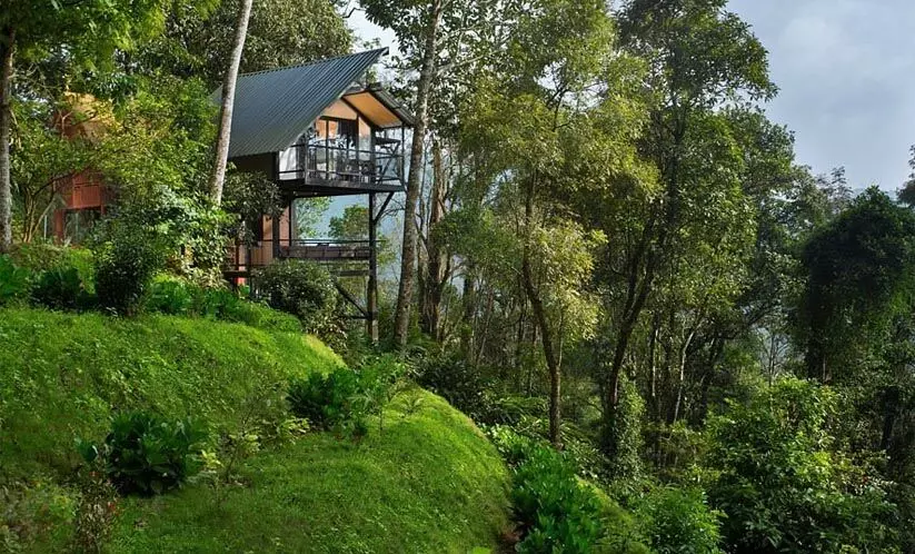 ഏലപ്പട്ടയം: റിസോർട്ട് മാഫിയക്ക് തിരിച്ചടിയായി ഉത്തരവ് ഏലപ്പട്ടയം: റിസോർട്ട് മാഫിയക്ക് തിരിച്ചടിയായി ഉത്തരവ്