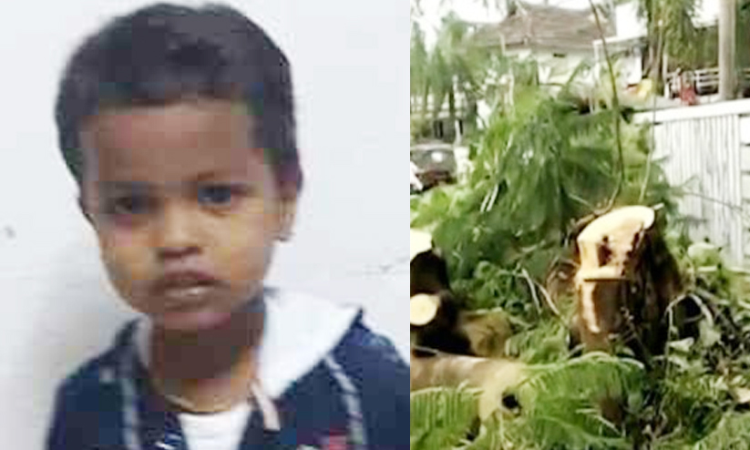 ANUPAM 785487 ANUPAM 785487