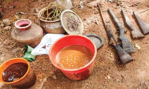 വീട്ടുപറമ്പിലെ ഷെഡില്‍നിന്ന് തോക്കുകളും  വാഷും പിടികൂടി