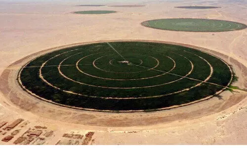 80,000 ചതുരശ്ര കിലോമീറ്ററിൽ നജ്ദ് അഗ്രികൾചർ ഏരിയ; ഭക്ഷ്യസുരക്ഷ ലക്ഷ്യം 80,000 ചതുരശ്ര കിലോമീറ്ററിൽ നജ്ദ് അഗ്രികൾചർ ഏരിയ; ഭക്ഷ്യസുരക്ഷ ലക്ഷ്യം