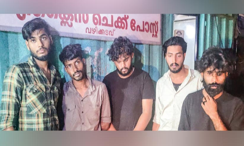 ലഹരി വേട്ട: പിടികൂടിയത് 65 ലക്ഷം രൂപയുടെ കഞ്ചാവ്