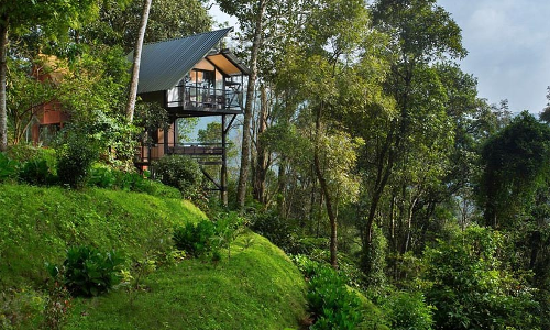 ഏലപ്പട്ടയം: റിസോർട്ട് മാഫിയക്ക് തിരിച്ചടിയായി ഉത്തരവ്