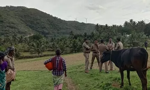 അട്ടപ്പാടിയിൽ അവധി ദിനത്തിൽ പൊലീസ് ഭീഷണിയിൽ ആദിവാസി ഭൂമി കൈയേറ്റം - VIDEO