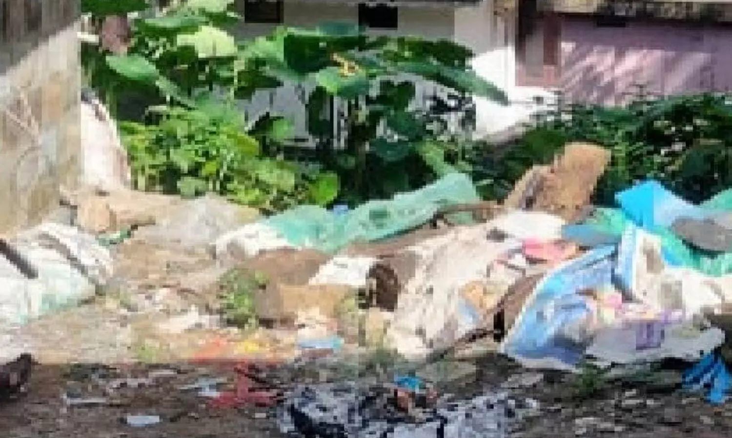 National flag burning case