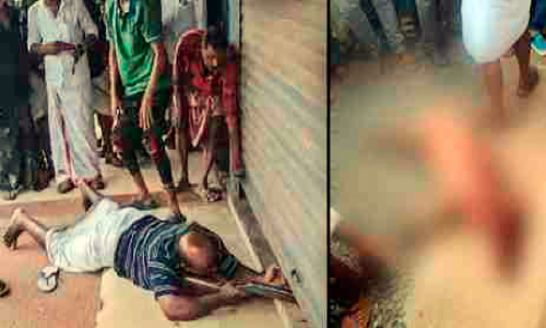 പട്ടാപ്പകൽ കടയിലെത്തിയ കാട്ടുപന്നിയെ വെടിവെച്ചുകൊന്നു