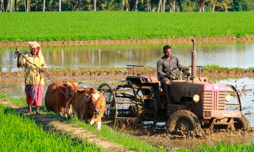 കർഷകദിനാചരണ ചടങ്ങ് ബഹിഷ്കരിക്കും