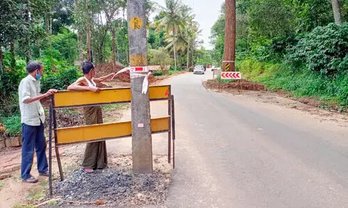 റോ​ഡ് വി​ക​സ​നം: മ​ര​ങ്ങ​ൾ മു​റി​ച്ചുനീ​ക്കി​യി​ല്ല