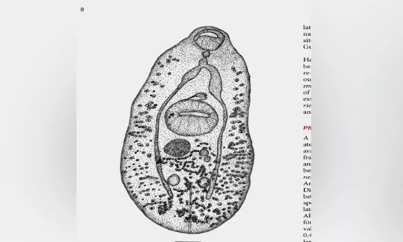പുതിയ പരാദ കുടുംബത്തെ കണ്ടെത്തി പുതിയ പരാദ കുടുംബത്തെ കണ്ടെത്തി