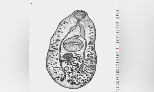 പുതിയ പരാദ കുടുംബത്തെ കണ്ടെത്തി