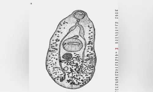 പുതിയ പരാദ കുടുംബത്തെ കണ്ടെത്തി