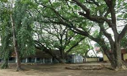 അട്ടക്കുളങ്ങര സ്കൂളിന് മുന്നിൽ ശൗചാലയം നിർമ്മിക്കാൻ കെ.എസ്.ആർ.ടി.സി ഉത്തരവ് നൽകിയിട്ടില്ല- സി.എം.ഡി അട്ടക്കുളങ്ങര സ്കൂളിന് മുന്നിൽ ശൗചാലയം നിർമ്മിക്കാൻ കെ.എസ്.ആർ.ടി.സി ഉത്തരവ് നൽകിയിട്ടില്ല- സി.എം.ഡി