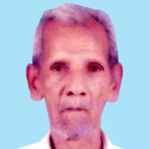 പാ​പ്പു