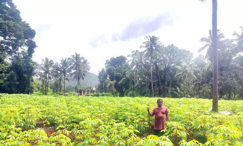 വേലായുധൻ നായരുടെ വേലതന്നെ കൃഷി