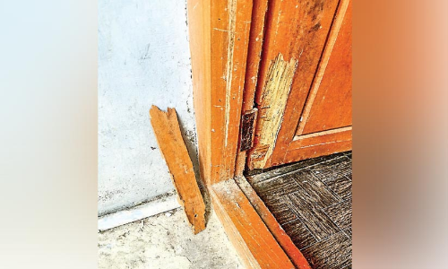 പട്ടാപ്പകൽ വീട്ടിൽ മോഷണശ്രമം