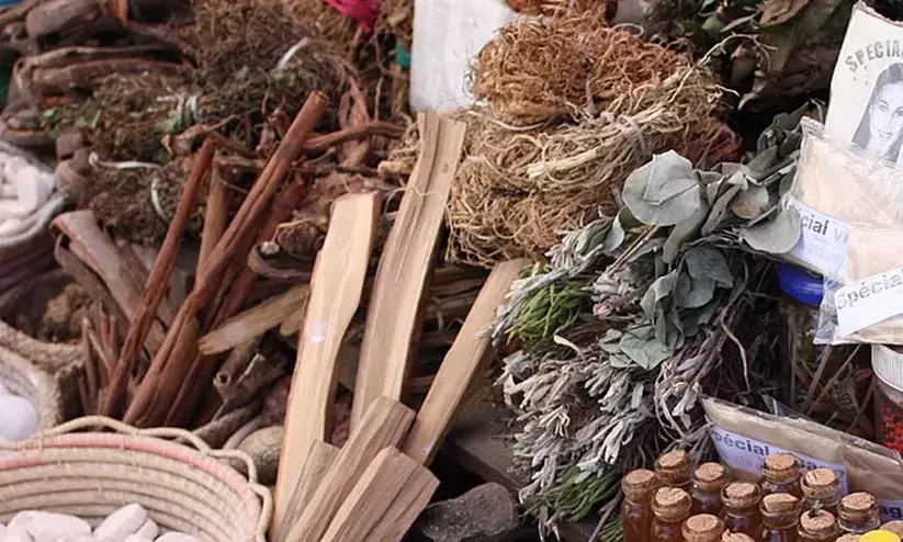 വ്യവസായികൾക്കും ഗവേഷകർക്കും നാട്ടറിവ് വിൽക്കാൻ കേന്ദ്രം