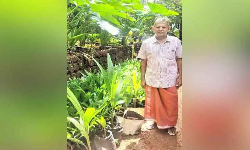 ജൈവകൃഷിയിൽ അനുഭവസമ്പത്തുമായി സദാനന്ദൻ നായർ