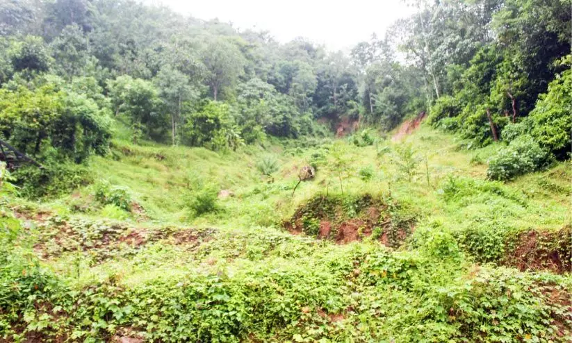 പ്രളയമണ്ണിൻ കണ്ണീരാഴം...