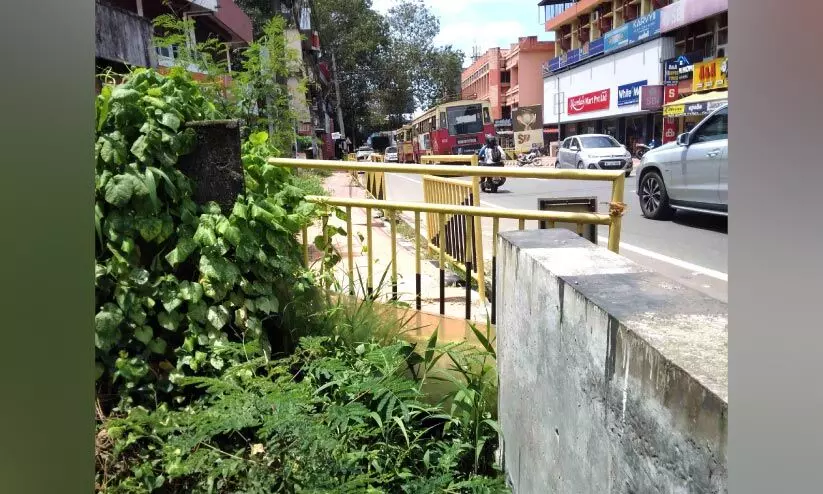 പന്തളത്തെ സുരക്ഷ ഇടനാഴി: ഓട നിർമാണം അശാസ്ത്രീയം