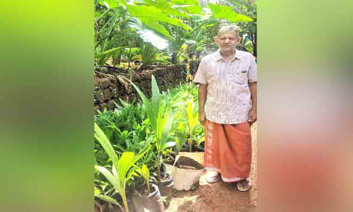 ജൈവകൃഷിയിൽ അനുഭവസമ്പത്തുമായി സദാനന്ദൻ നായർ