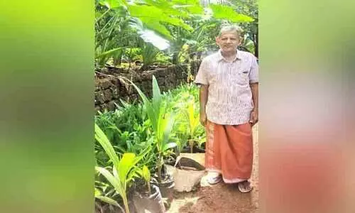 ജൈവകൃഷിയിൽ അനുഭവസമ്പത്തുമായി സദാനന്ദൻ നായർ