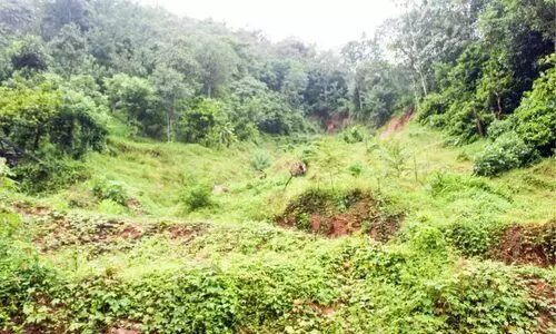 പ്രളയമണ്ണിൻ കണ്ണീരാഴം... പ്രളയമണ്ണിൻ കണ്ണീരാഴം...