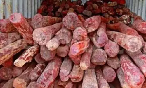 വീട്ടിലെ അടുക്കളയിൽനിന്ന് അഞ്ചരക്കിലോ ചന്ദനച്ചീളുകൾ പിടികൂടി