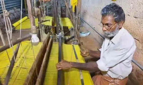 പൊന്നോണത്തെ വരവേൽക്കാൻ മഞ്ഞമുണ്ടുകൾ ഒരുങ്ങുന്നു