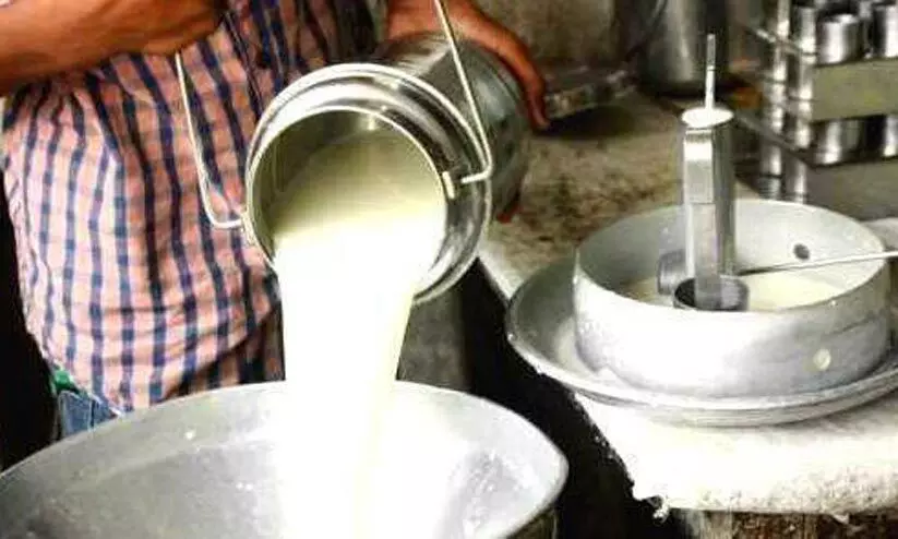 ക്ഷീരകർഷകർക്ക് ഇരുട്ടടിയായി കാലിത്തീറ്റയുടെ വിലവർധന