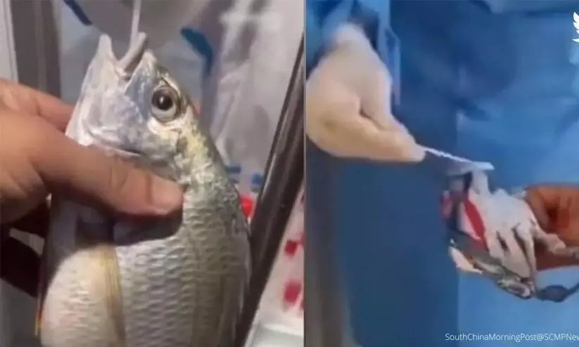 Covid in China: Fish tested amid Xiamen outbreak