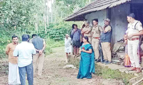 മൂ​ന്നു ക​ടു​വ​ക​ൾ; കൂ​ടു​വെ​ച്ച് പി​ടി​കൂ​ടു​ക അ​സാ​ധ്യം