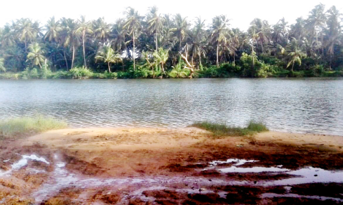 നീലേശ്വരം കച്ചേരിക്കടവ് പാലത്തിന് സാമ്പത്തിക അനുമതി