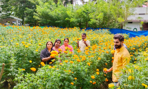 Chendumalli Vasantha in Vypin